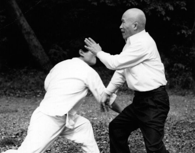 History of Taikiken in Kyokushin Karate, part 1